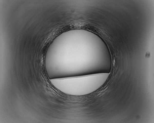 X0000116011299200911191228