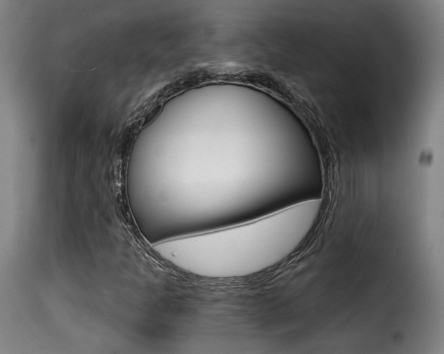X0000116011301200911191228