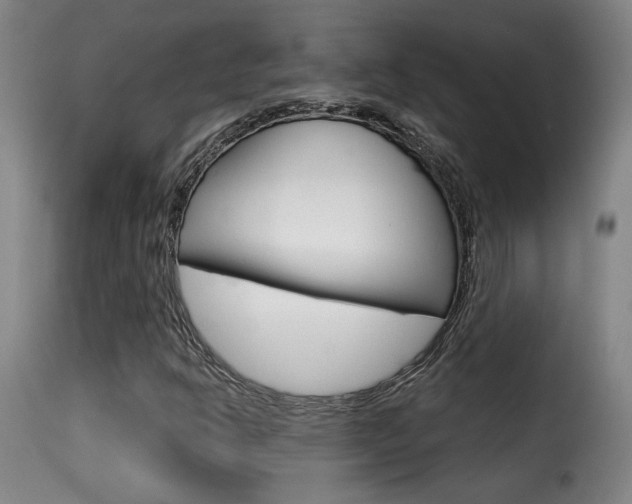 X0000116011302200911191228