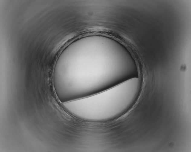 X0000116011305200911191228