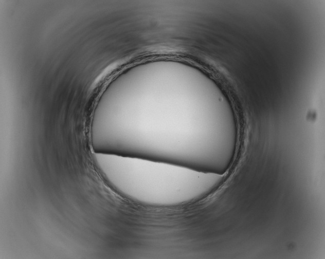 X0000116011306200911191228