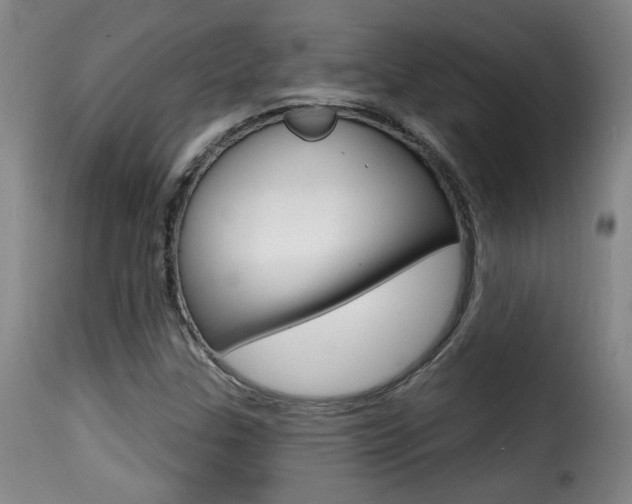 X0000116011307200911191228