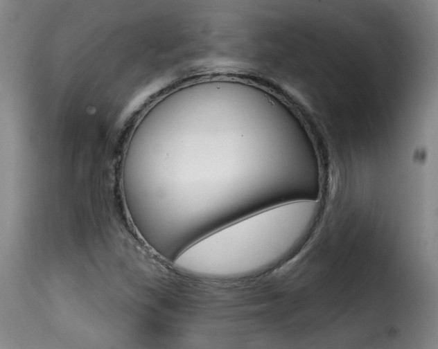 X0000116011309200911191228