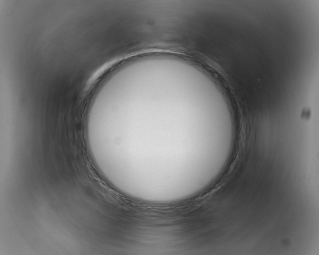 X0000116011310200911191228