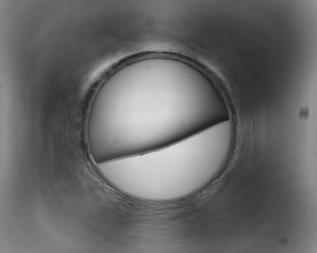 X0000116011311200911191228