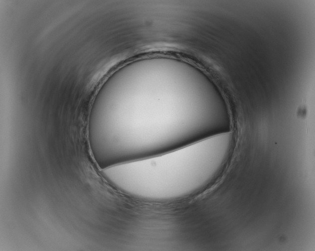 X0000116011313200911191228