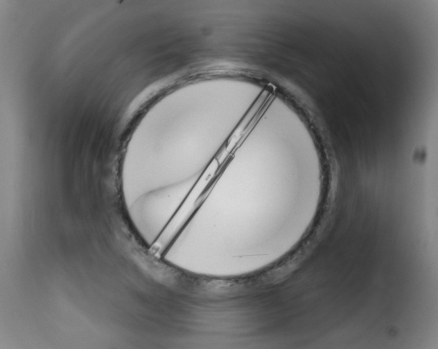 X0000116011314200911191228
