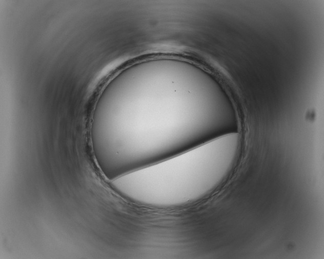 X0000116011315200911191228