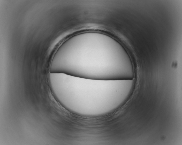 X0000116011318200911191228