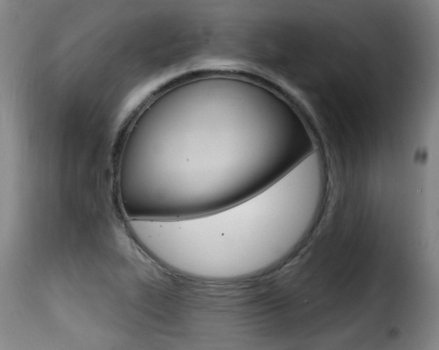 X0000116011319200911191228