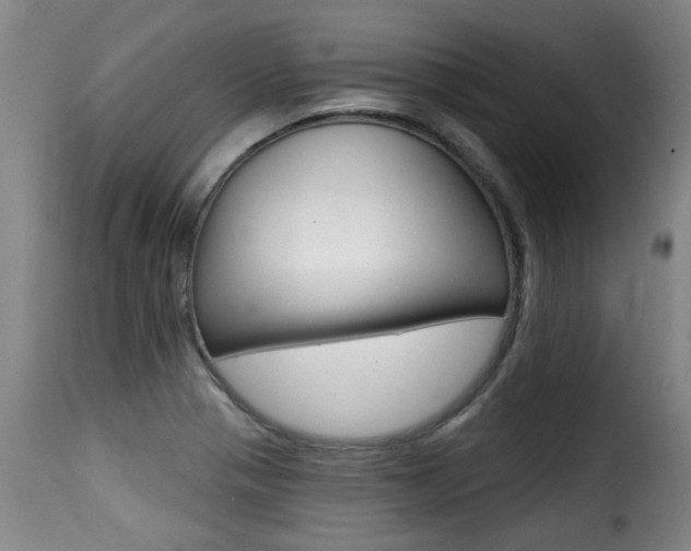 X0000116011321200911191228