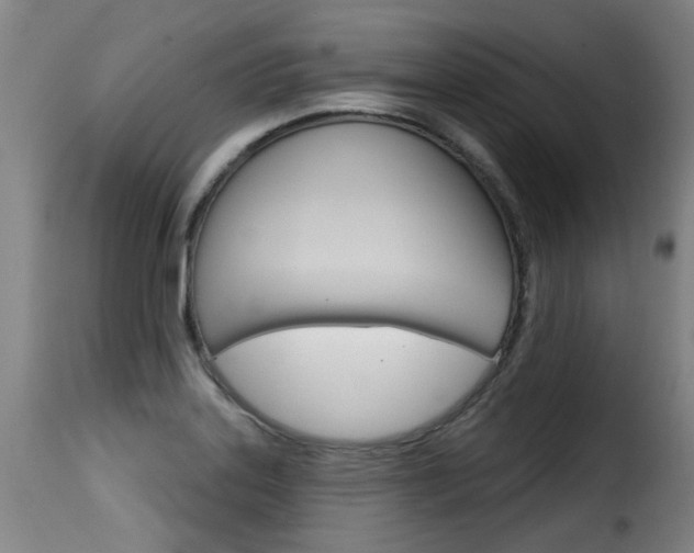 X0000116011323200911191228