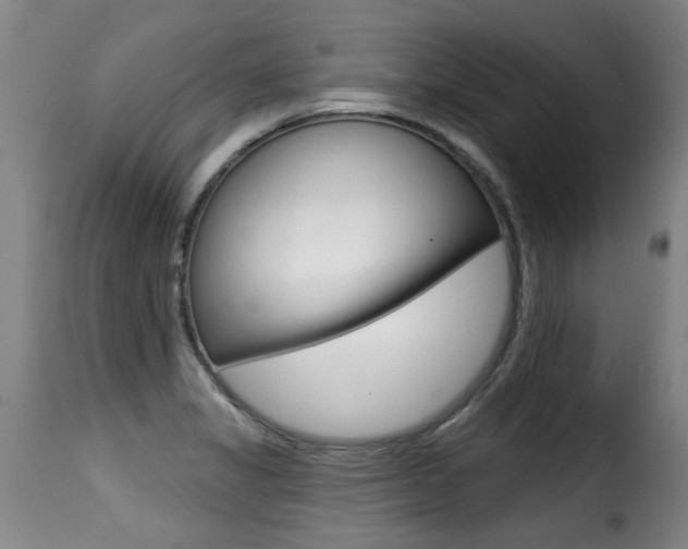 X0000116011325200911191228
