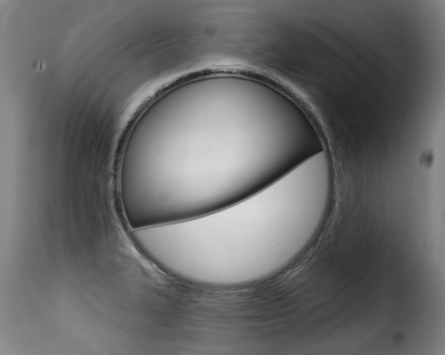 X0000116011327200911191228