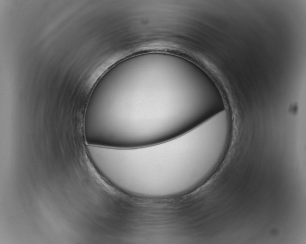 X0000116011329200911191228