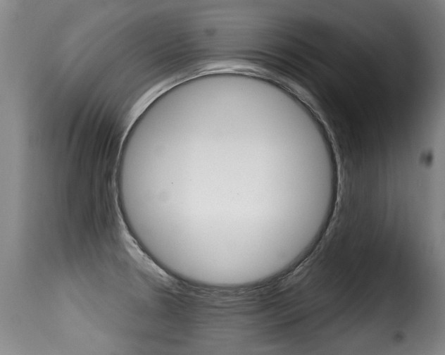 X0000116011330200911191228