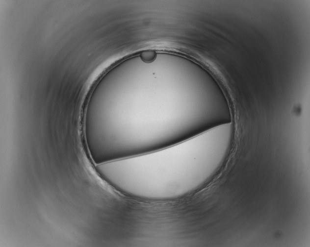 X0000116011331200911191228