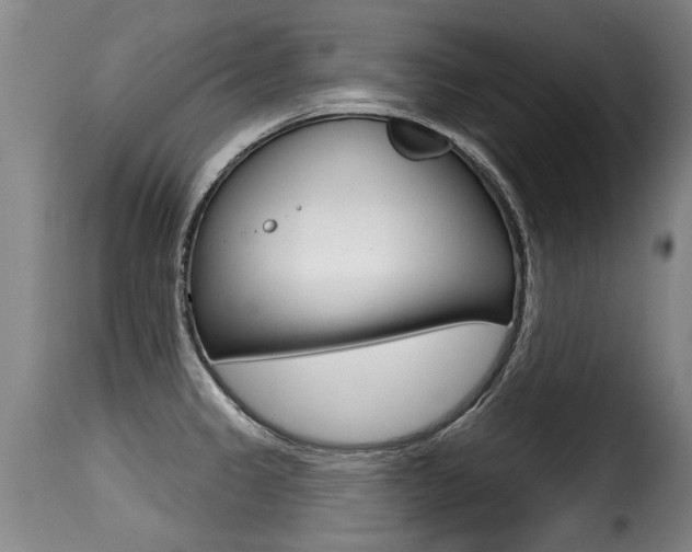 X0000116011333200911191229
