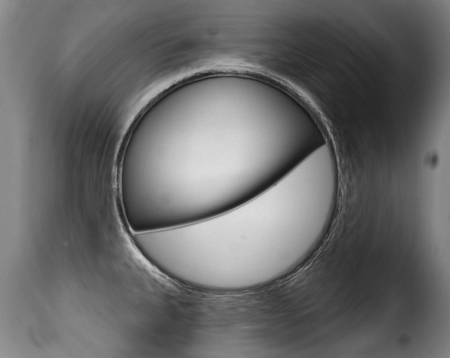 X0000116011335200911191229