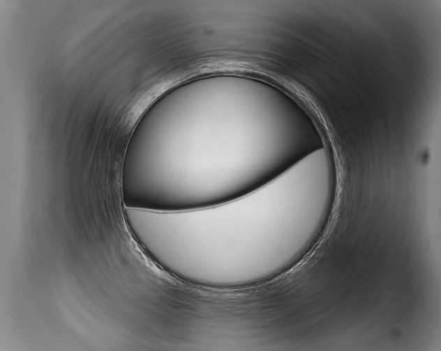 X0000116011337200911191229
