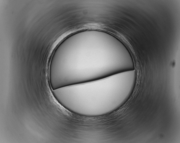 X0000116011339200911191229