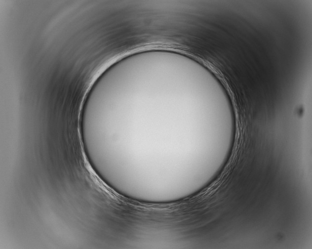 X0000116011342200911191229