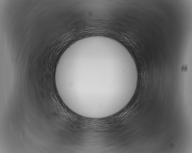 X0000116011345200911191228