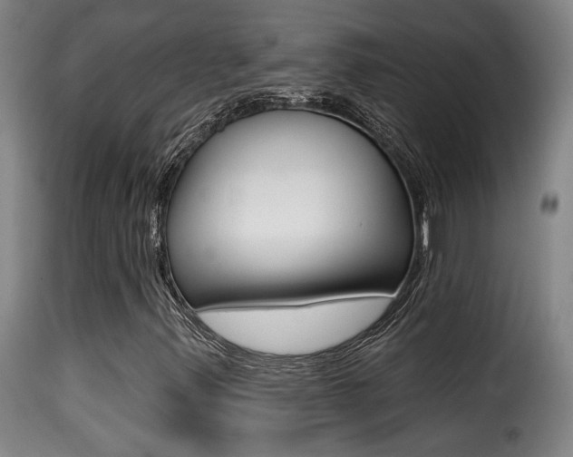 X0000116011347200911191228