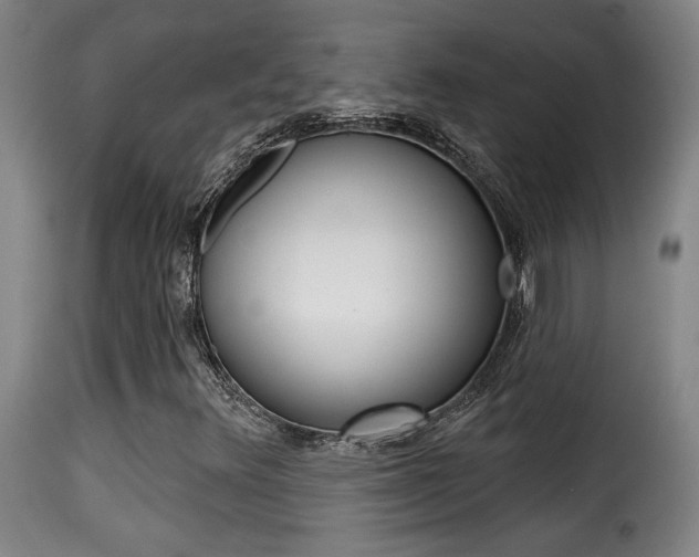 X0000116011348200911191228