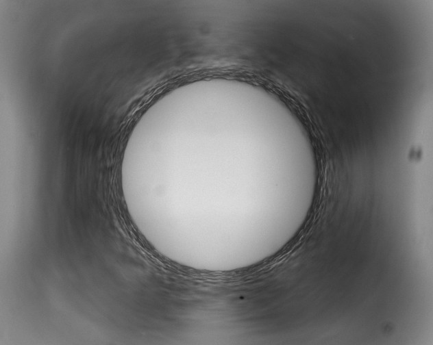 X0000116011349200911191228