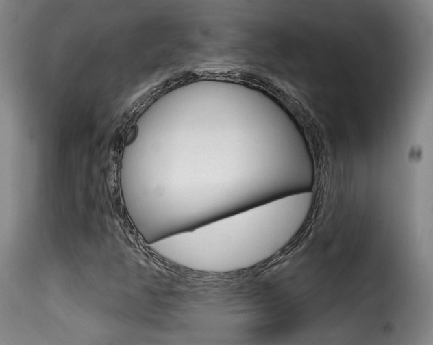 X0000116011350200911191228