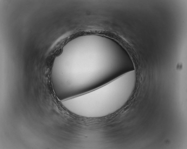 X0000116011351200911191228