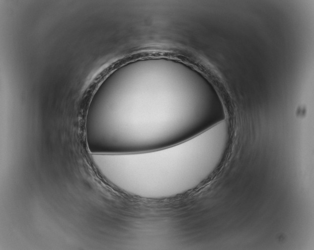 X0000116011352200911191228