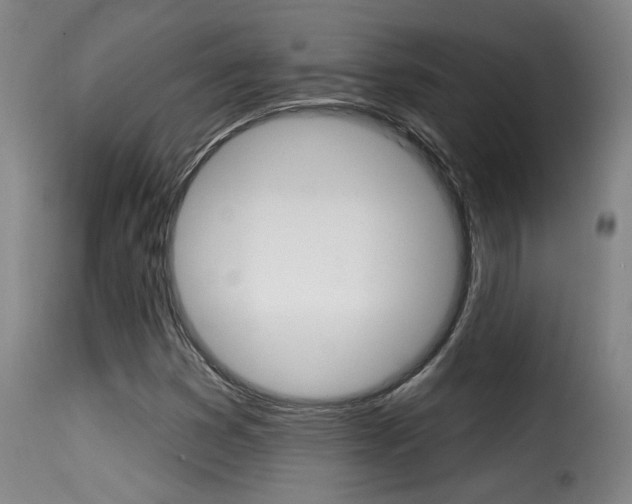 X0000116011353200911191228