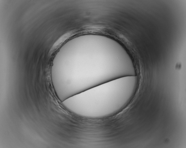 X0000116011354200911191228