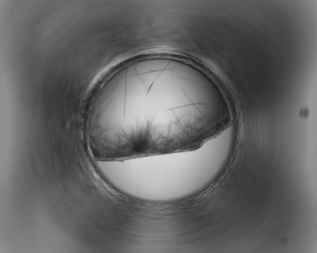 X0000116011356200911191228