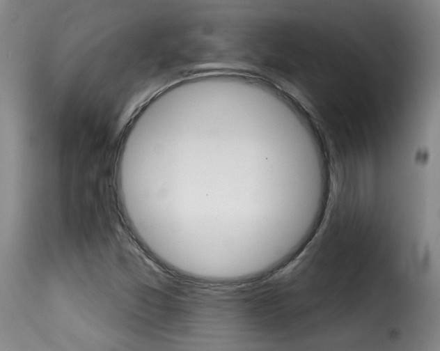 X0000116011357200911191228
