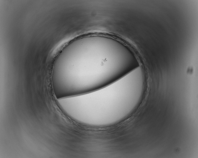 X0000116011359200911191228