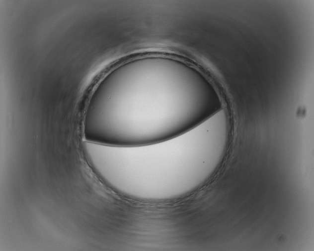 X0000116011360200911191228