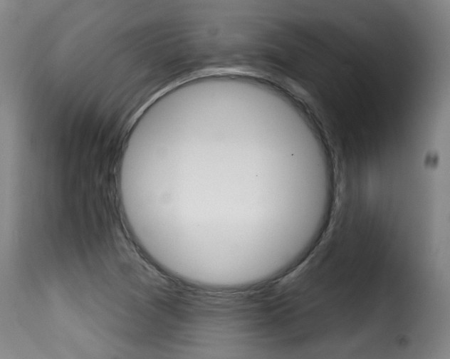 X0000116011361200911191228