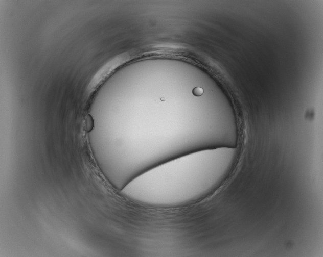 X0000116011362200911191228