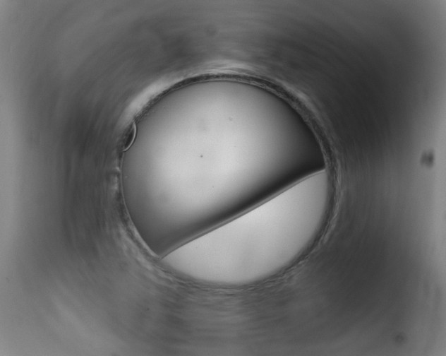 X0000116011363200911191227