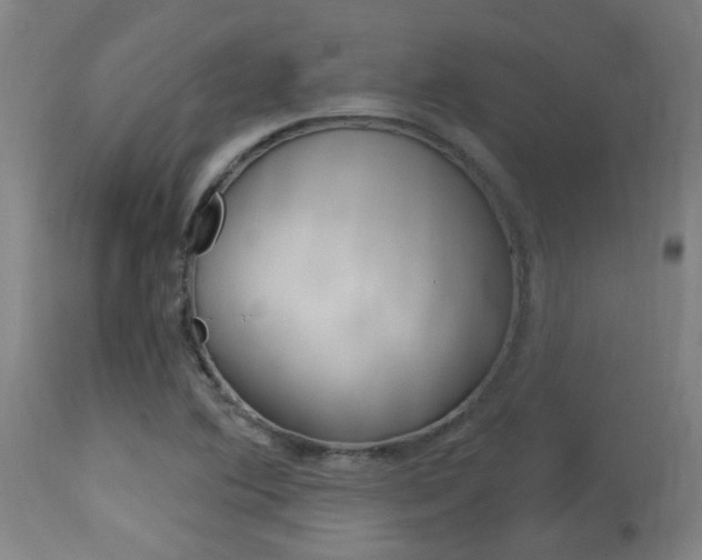X0000116011364200911191227