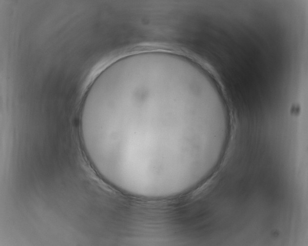X0000116011365200911191227