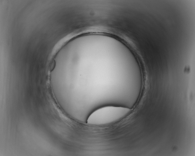 X0000116011366200911191227