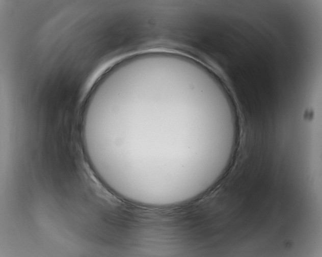 X0000116011368200911191227