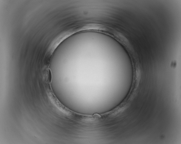 X0000116011369200911191227