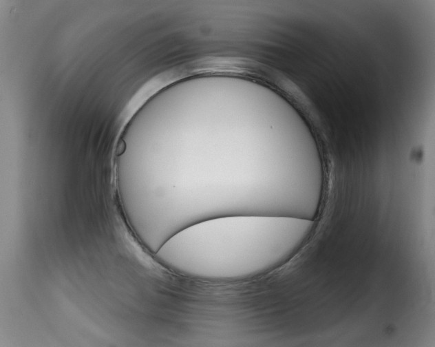 X0000116011370200911191227