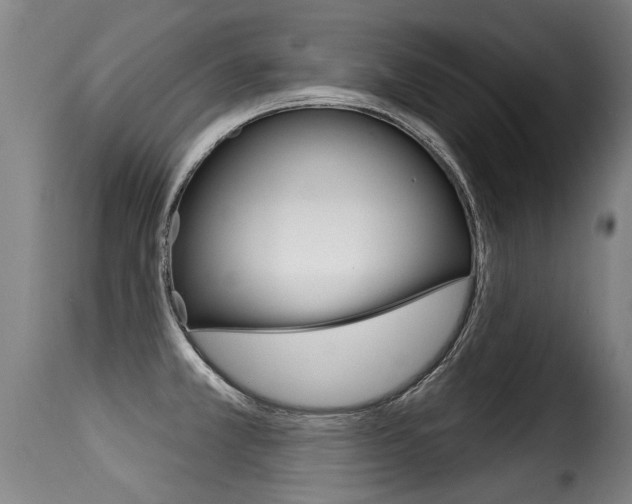 X0000116011381200911191227