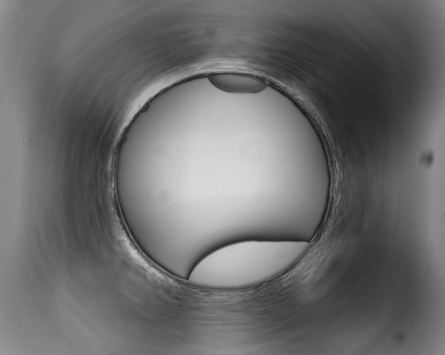 X0000116011382200911191227